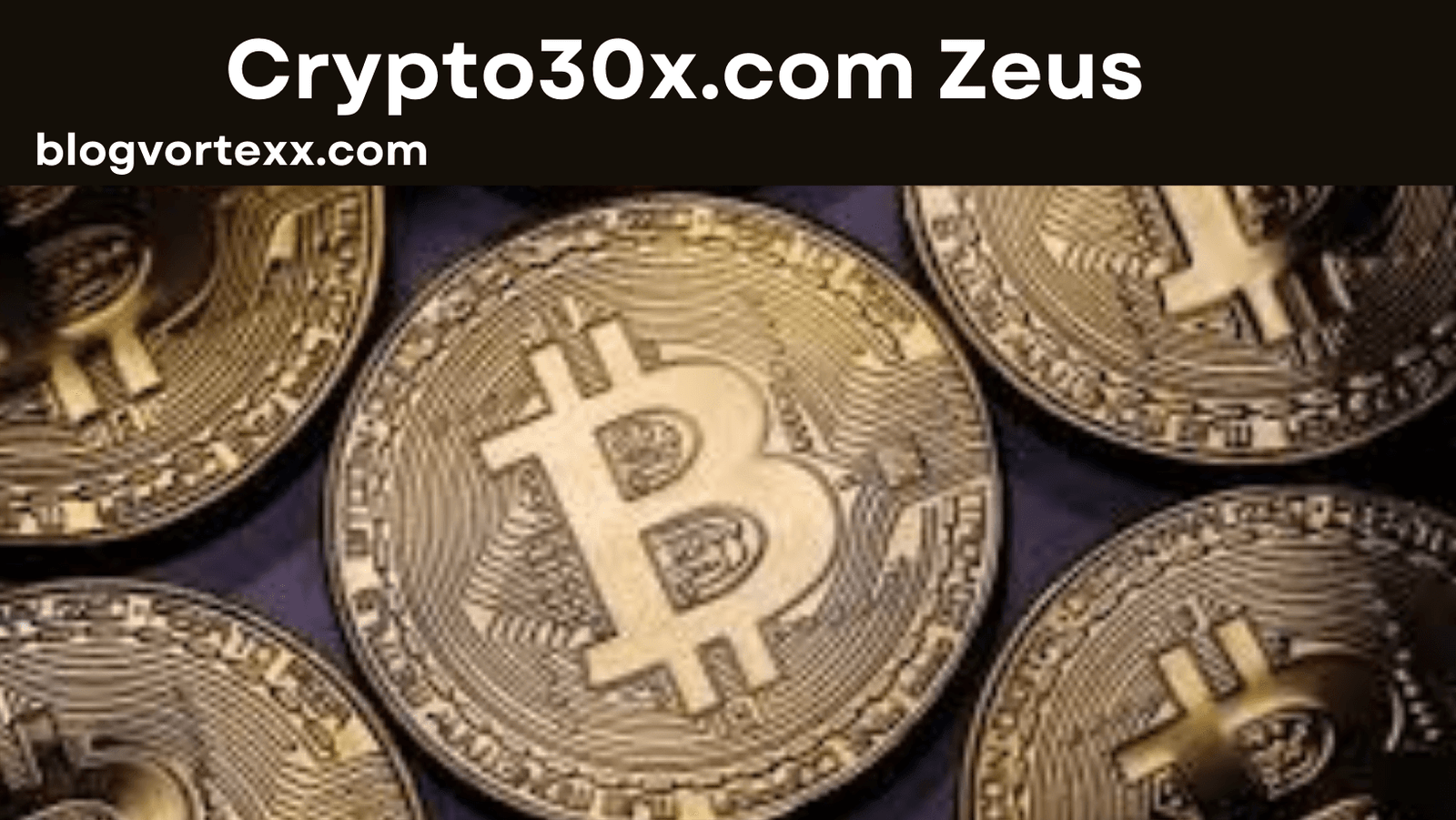 crypto30x.com zeus